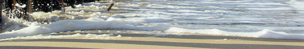 Strandlakens