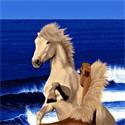 Strandlaken Paard