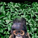 Strandlaken Baby monkey