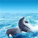 Strandlaken Funny Dolphins